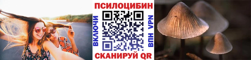 Купить где  Очёр  Псилоцибиновые грибы мицелий 